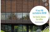 Festival WOODRISE - Crédit photo : D.R. -