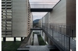Pin radiata Accoya. Ecole Oak House à Barcelone, Espagne. Agence Trasbordo. - Crédit photo : D.R. -