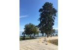Platelage du grand " quai " belvédère, en partie sur pilotis. - Crédit photo : Big Bang -