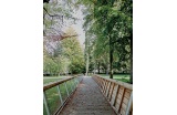 Un platelage de lames de chêne guide les pas des promeneurs entre le Parc de la Faïencerie et le quartier de Rouher. - Crédit photo : Falsimagne Julien