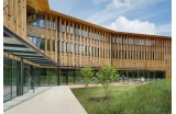 Woody, bureaux de Santé Publique France à Saint Maurice (94), par l'Atelier du Pont - Crédit photo : Shimmura Takuji 