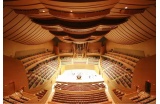 Walt Disney Concert Hall de Los Angeles - Frank Gehry © Geoffrey Morrison/CNET - Crédit photo : D.R. -