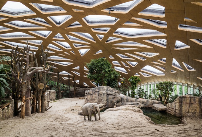 Maison des éléphants au zoo de Zurich <br/> Crédit photo : Wehrli Dominique Marc 