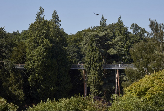 La passerelle permet aux visiteurs d'approcher la canopée des sujets remarquables de l'Arboretum, offrant une toute nouvelle expérience aux connaisseurs du lieu.<br/> Crédit photo : PARRISH Rob