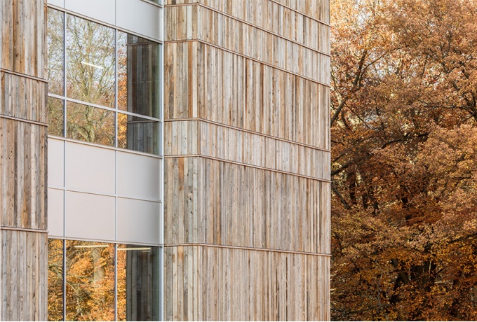 Les recoupements horizontaux sont en bois neuf d'afzelia.<br/> Crédit photo : Defourny Samuel