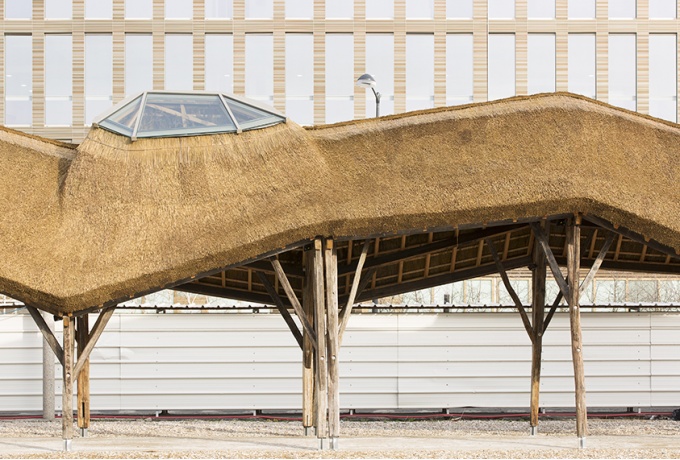 Si le faîtage ondule, les pentes de la toiture conservent un angle de 45°, nécessaire pour la bonne mise en oeuvre du chaume.<br/> Crédit photo : GUILLAUME Clément